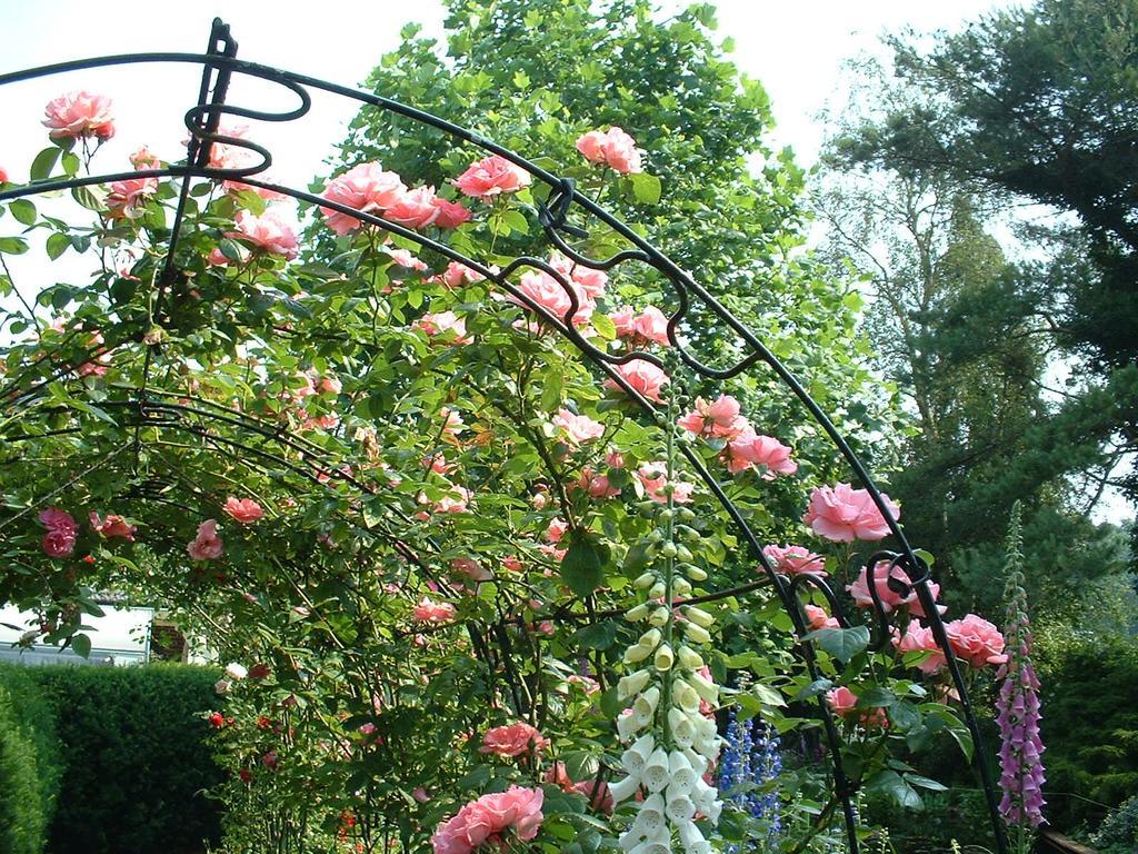 De Riekhoff Villa Een-West Екстериор снимка